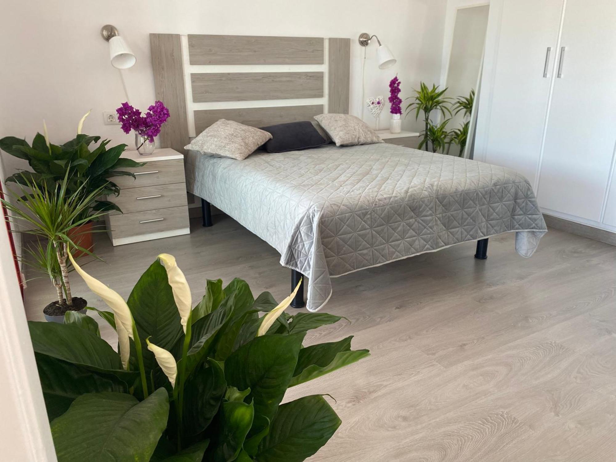 Apartment Anna Benidorm Dış mekan fotoğraf
