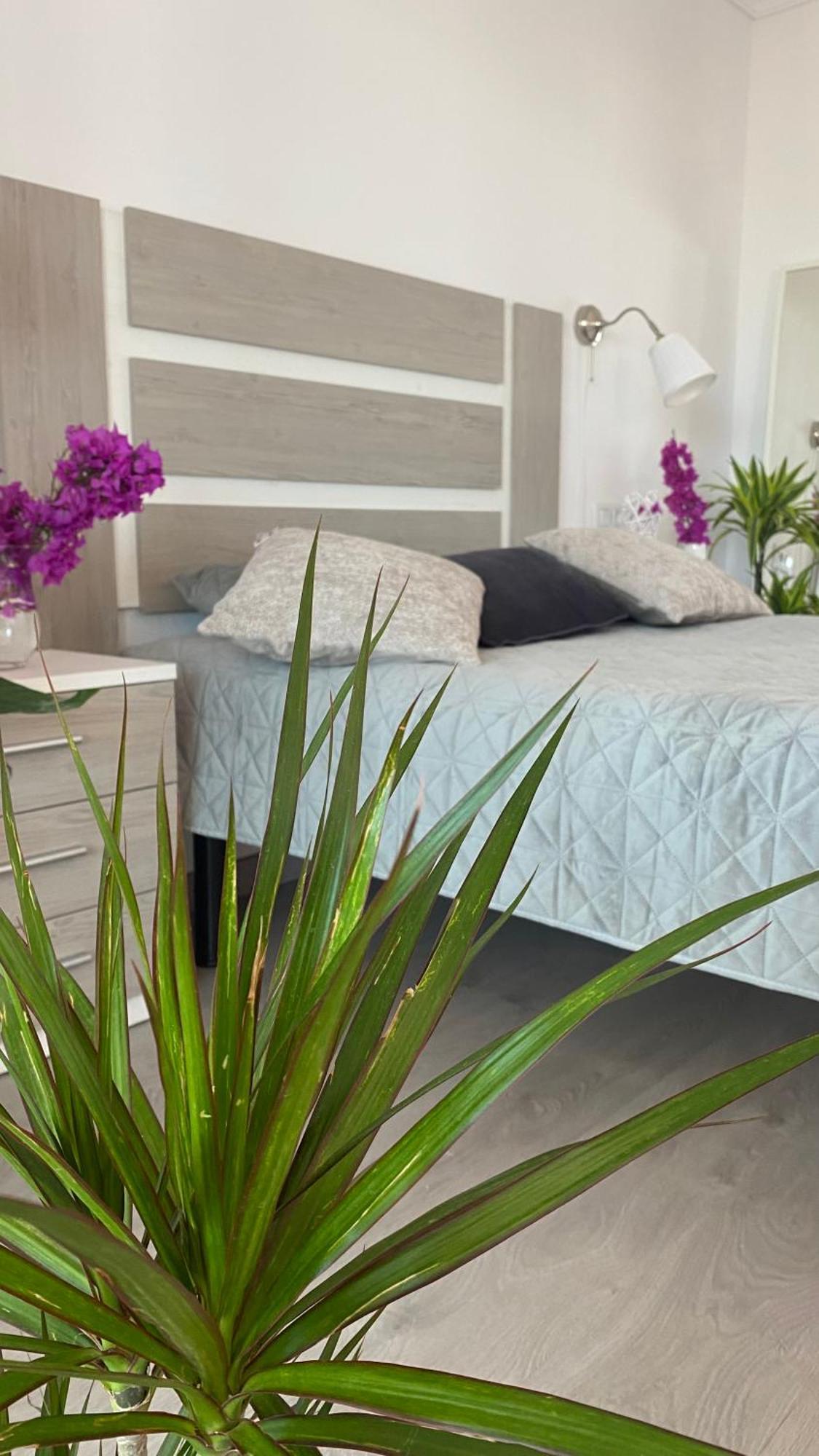Apartment Anna Benidorm Dış mekan fotoğraf